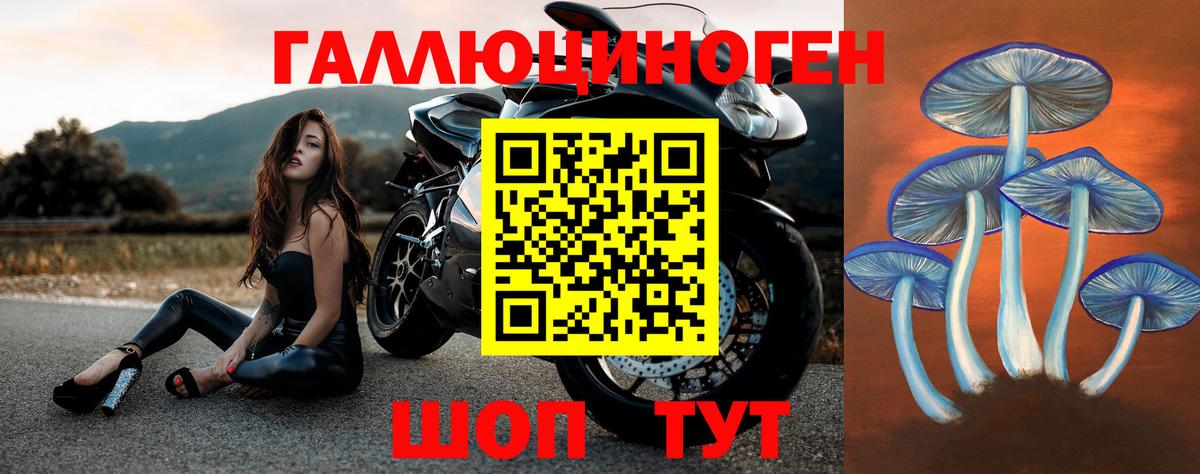 Псилоцибиновые грибы ЛСД  Вход с VPN  купить наркотики цена  Керчь 