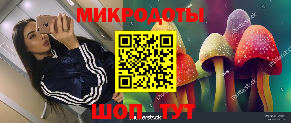 Галлюциногенные грибы прущие грибы Керчь